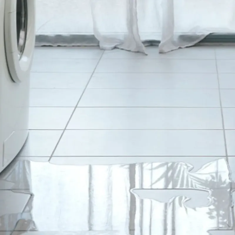 Appliance Leak Cleanup in Orange County, FL