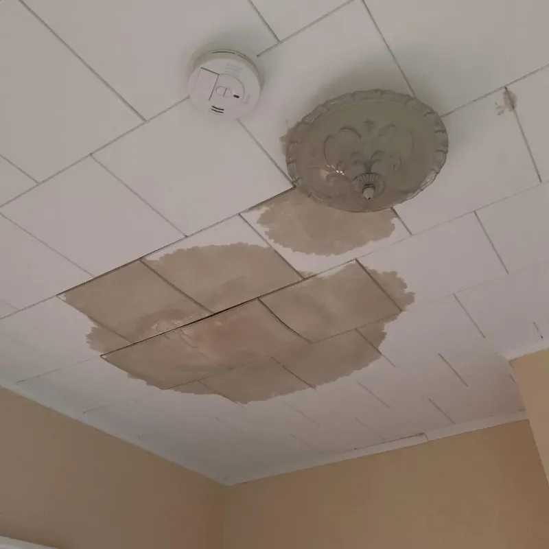 Ceiling Water Damage Repair in Orange County, FL