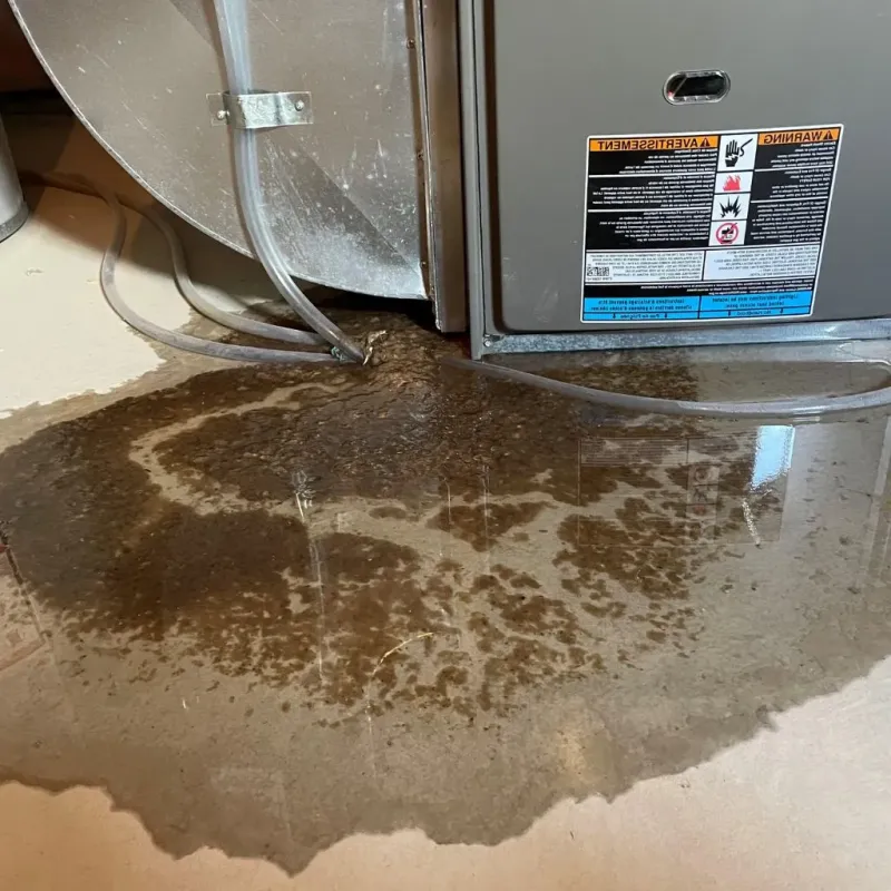 Pipe Burst and Leak Restoration in Orange County, FL